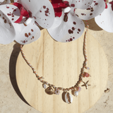 COLLIER CORAIL