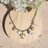 COLLIER SUNSET